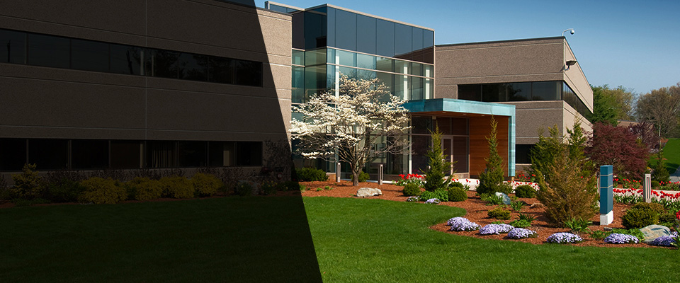 Argyle Landscapers