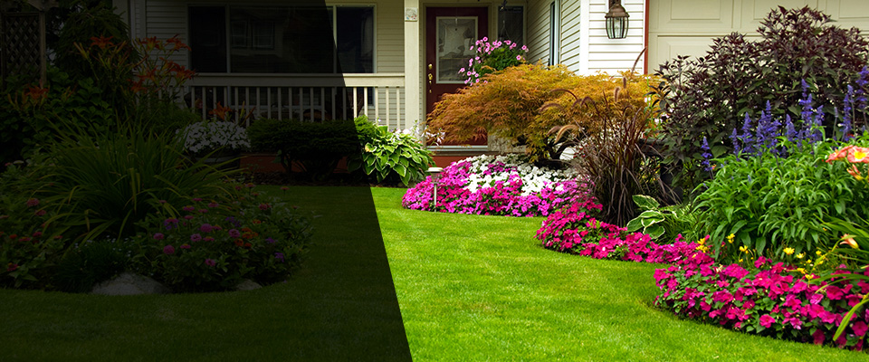 Argyle Landscapers