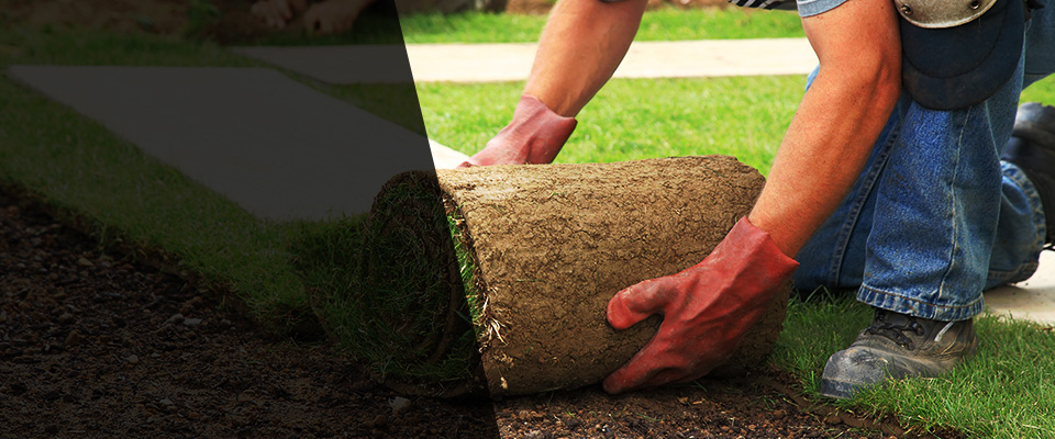 Argyle Landscapers
